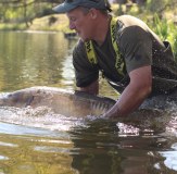 Carp Fisherman holding fish in water wearing Vass 740 chest waders