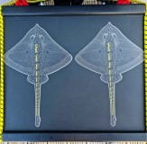 Ray Rising Fishing Stickers on TackleBox