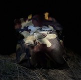 Vass Wader Bag 10