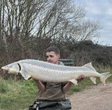 vass 650 chest wader 49