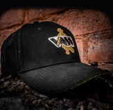 new vass cap vh419 9 13