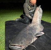 Vass Hybrid Chest Waders Dark Camo Fishing Angling Catfish 3