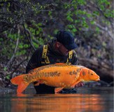 Vass Chest Waders for Fishing Outdoors Koi Carp 2