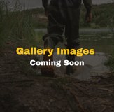 Gallery Images Coming Soon