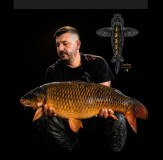 Vass Carp Rising Tee Shirt Fishing Casualwear Outdoors