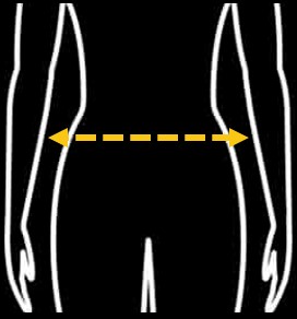 Hips Measurement