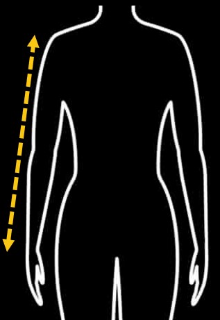 Sleeve Length Measurement